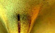 Кингстонсова витка лепотица показује своје мишићаво тело и велики клиторис