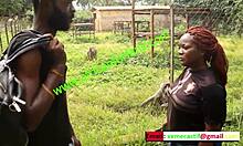 Hot møde i landets zoologiske have - Mboa xvideos unikke tilbud